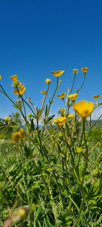 Viens Hebergements Insolites - Detente En Luberon מראה חיצוני תמונה
